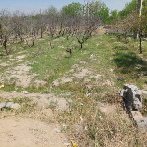فروش باغچه دوکله درباغستان شهریار