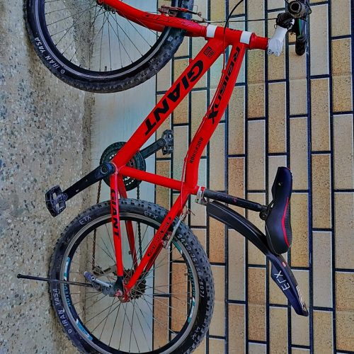 دوچرخه ویوا 24