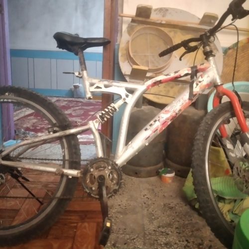 دوچرخه سالم و خوب است دنده‌ای است