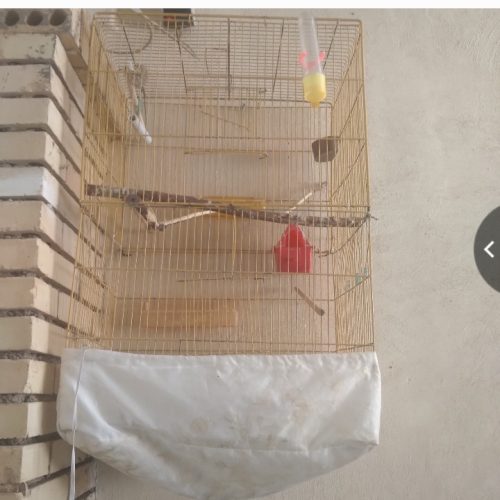 اگزوز موتور و دوعدد کاشیبر و خطر ماشین