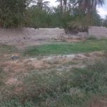 زمین چهار فرسخ ، شهداد