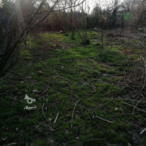 زمین مسکونی