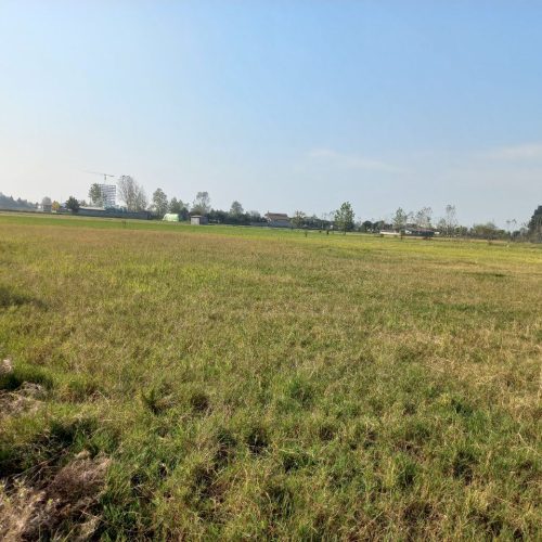 زمین کشاورزی به مساحت 2317متر