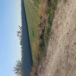 فروش زمین کشاورزی