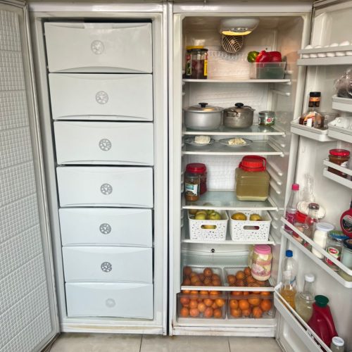 یخچال الکترو استیل دو قلو