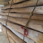 خریدار انواع چوب خشک وخیس