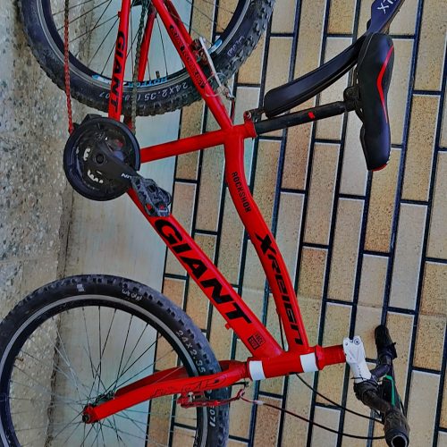 دوچرخه ویوا 24