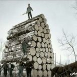 کار در کارخانه چوب‌