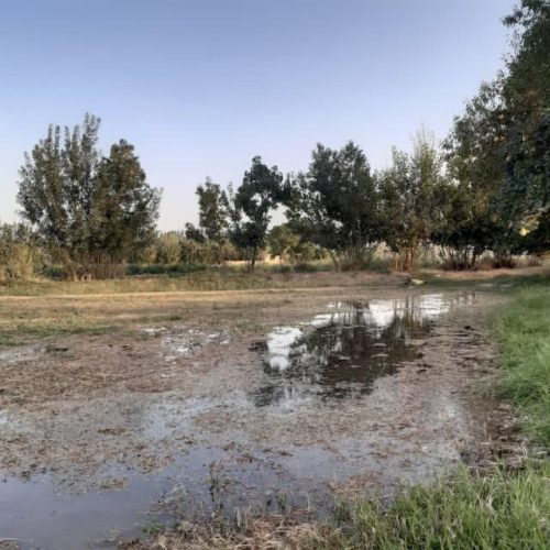 زمین کشاورزی