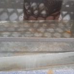 ماشین جوجه کشی