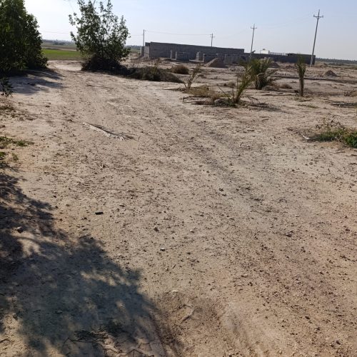 فروش فوری زمین 250 متری باغ شهری قابل ساخت و سکونت