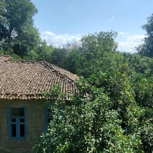 فروش 1400 متر خانه باغ قاجاری 150 ساله