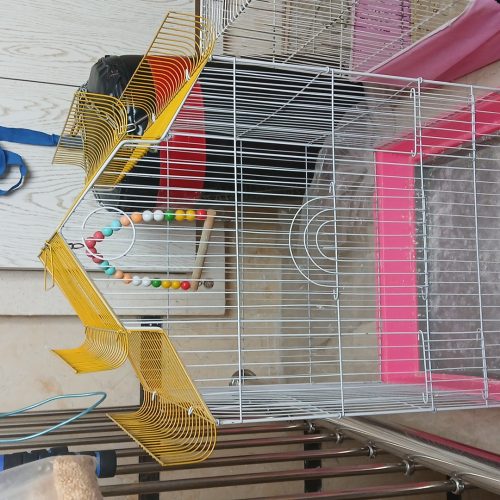 قفس بزرگ برای انواع طوطی سانان