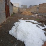 سلام یک قطعه زمین به مساحت   تقریبا متراژ 157 متر در روستا باغشن انتهای خیابان مطهری 3 به ابعاد شمالی 8متر به کوچه سه متری وجنوب با 9/90 متر به ملک محمود باغشنی غرب به متراژ  17/35 سانتیمتر به ملک هادی مجدی وشرقا 17/90 به ملک خانم چوبدار به فروش می‌رسد… فوری شماره تماس ..09920126989