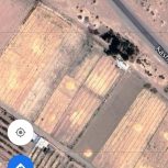 زمین کشاورزی