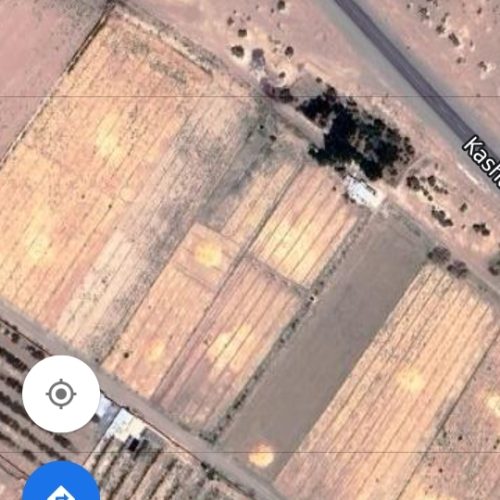 زمین کشاورزی