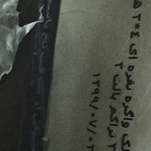 فرش شاهرخ نو