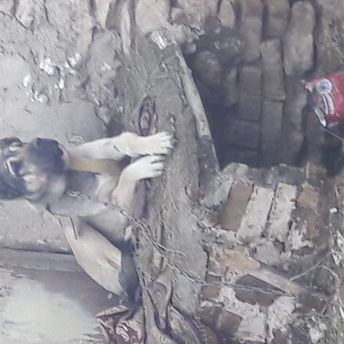 سگ‌سرابی‌در‌آقجه‌قیا