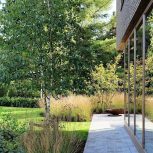 فروش زمین مسکونی 300 متر