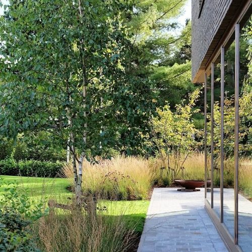 فروش زمین مسکونی 300 متر