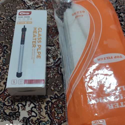 آکواریوم شیک با داشتن ماهی پرت