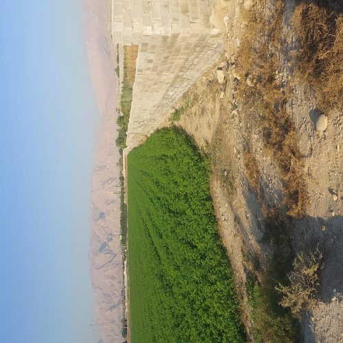 فروش زمین کشاورزی