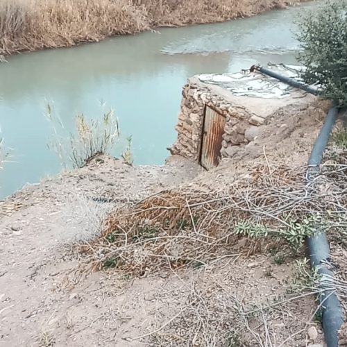فروش باغ
