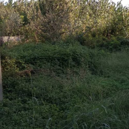 زمین مسکونی 8 کیلومتری لاهیجان