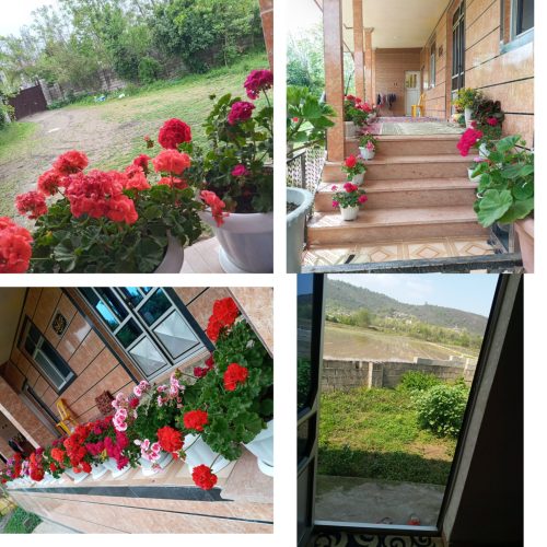 ویلا اجاره با تمام امکانات