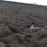 فروش زمین بیجاری