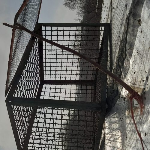 قفس تور کلکی