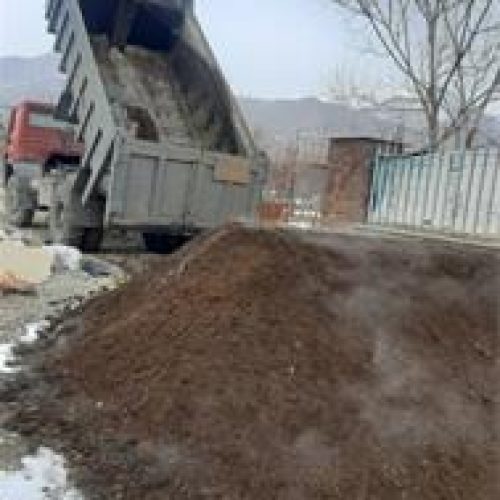 کود و پهین گوسفندی