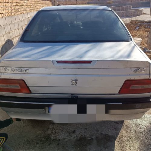 روا سال دوگانه کارخانه