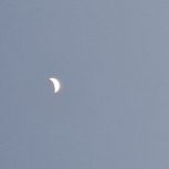 1100متر زمین باغچه ملکی در شیراز قلات کدیون