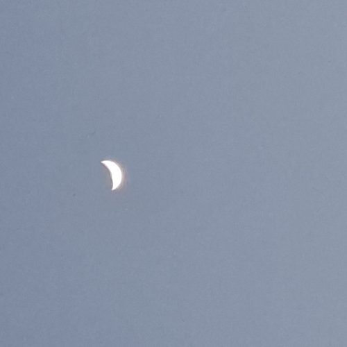 1100متر زمین باغچه ملکی در شیراز قلات کدیون