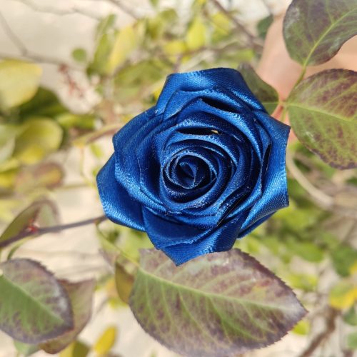 گل همیشه ماندگار