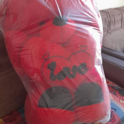 فروش یک عددخرس قرمز سایزبزرگ