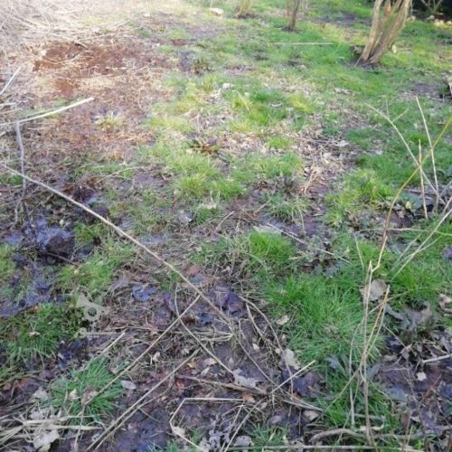 زمین مسکونی