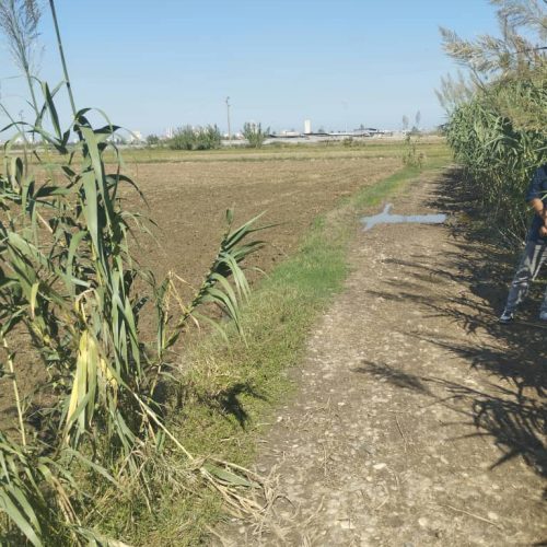 فروش زمین کشاورزی و باغی  5560 متری سنددار