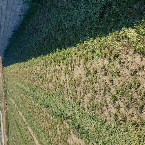 فروش زمین کشاورزی