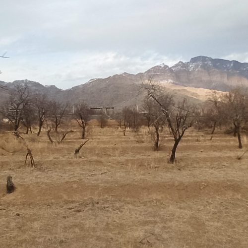 زمین باغ2300متر با یه ساعت آب قنات