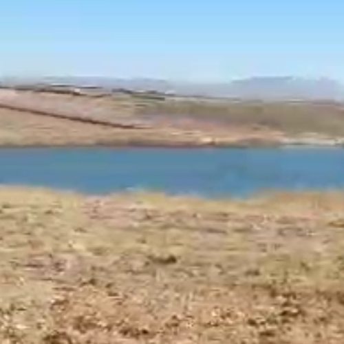 فروش زمین باغ شهری