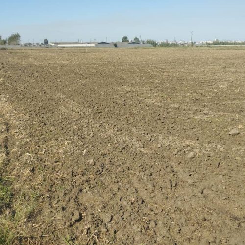 فروش زمین کشاورزی و باغی  5560 متری سنددار