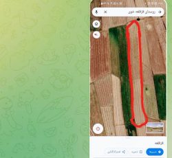 اسلام دودکانلو ی‌میلان