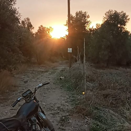 فروش باغ