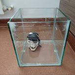 آکواریوم کوچک