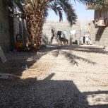 زمین ایسین درگیر محله شهید عامریان مقدم