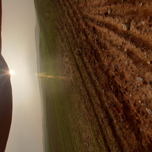 فروش 5هکتار دیم