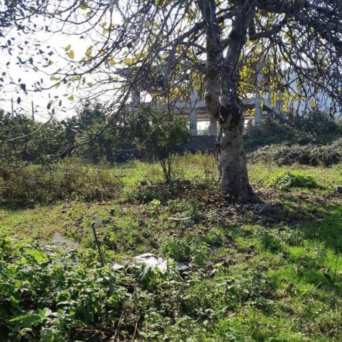 فروش زمین همراه ویلای کلنگی