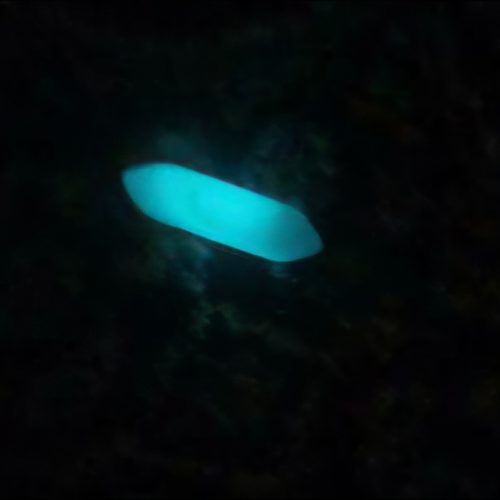 دو عدد شهاب سنگ،مهره ی مار،گوهرشب چراغ،انگشتر